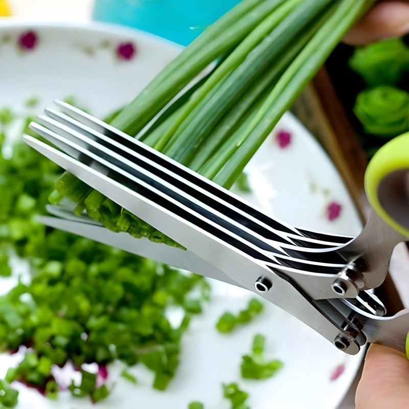 5-Layer Multifunctional  Kitchen Scissor